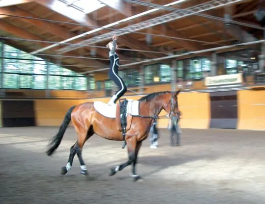 Bild: Sächsische Meisterschaften im Voltigieren -  Am 08. und 09. September 2007 auf Schlobachshof