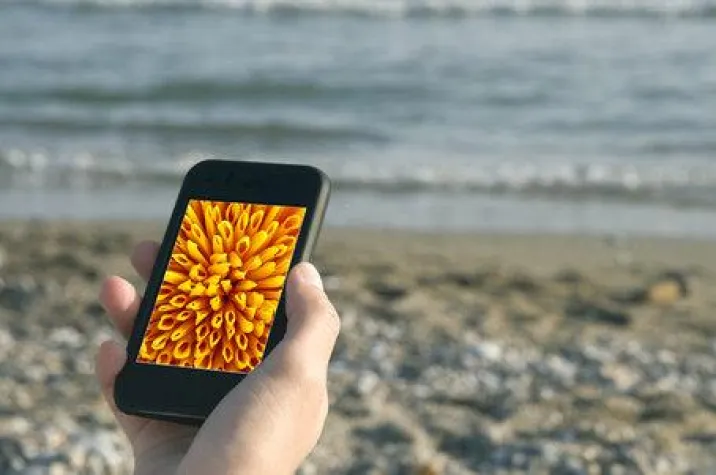 Bild: Projectplace stellt Studie zur Nutzung mobiler Endgeräte in den Ferien vor