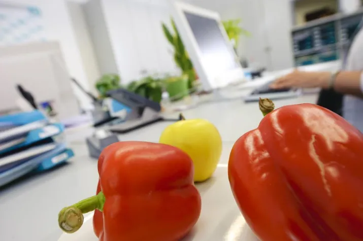 Bild: Frisch von der Uni in den ersten Job