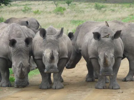 Bild: Südafrika auf dem Mountainbike erleben