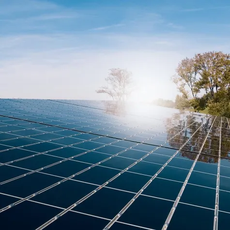 Bild: Photovoltaik bleibt eine chancenreiche Investition