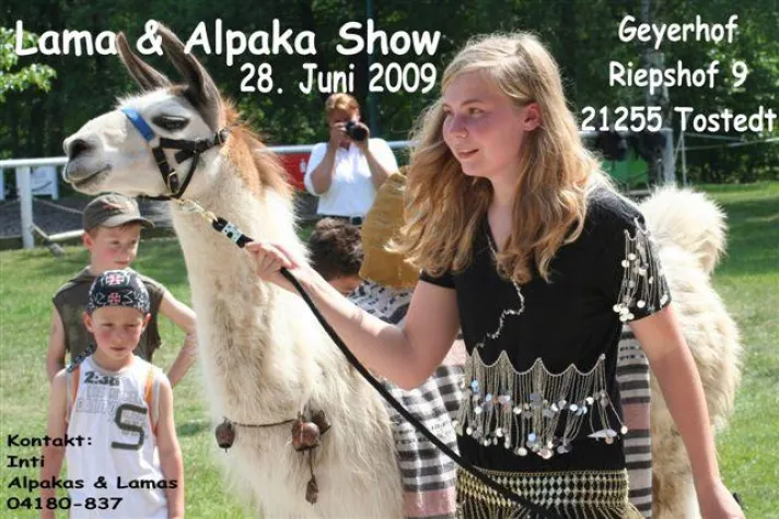 Bild: Lama und Alpaka Show in der Lüneburger Heide