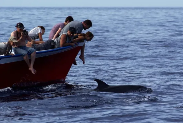 Wird die EU zur Delfinarien-freien Zone? Bild: Wird die EU zur Delfinarien-freien Zone?