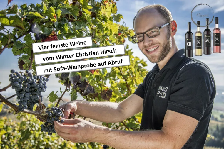 Bild: Deutsche Winzer auf dem heimischen Sofa