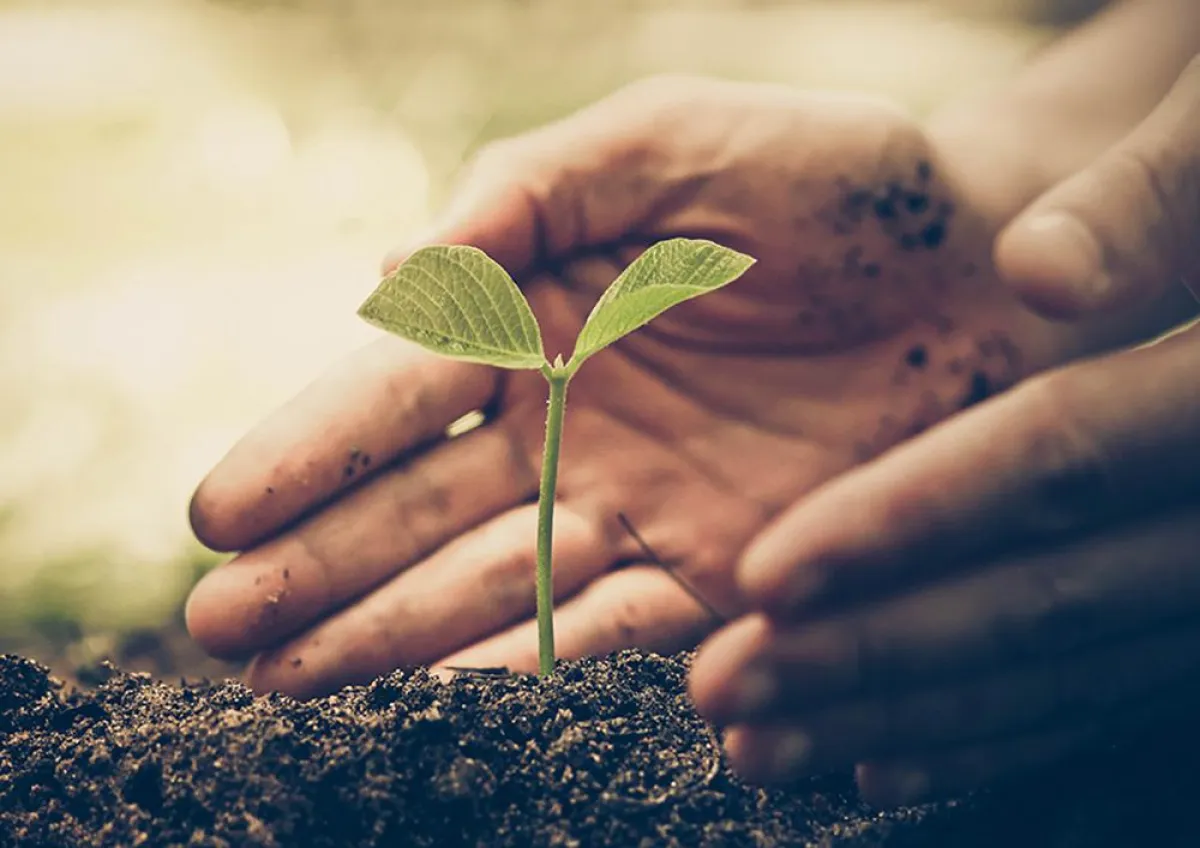 OfenKOPPE setzt auf Nachhaltigkeit