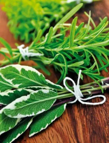 Bild: Gegen Husten ist ein Kraut gewachsen - Hustentherapei beim Pferd