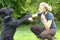 Die Mensch Hund Beziehung Teil 3 Bild: Die Mensch Hund Beziehung Teil 3