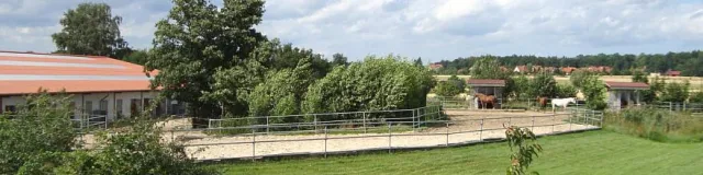 Bild: Dressurtag auf Gut Heinrichshof am 5.9.2009