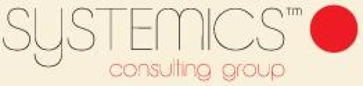 systemics consulting group