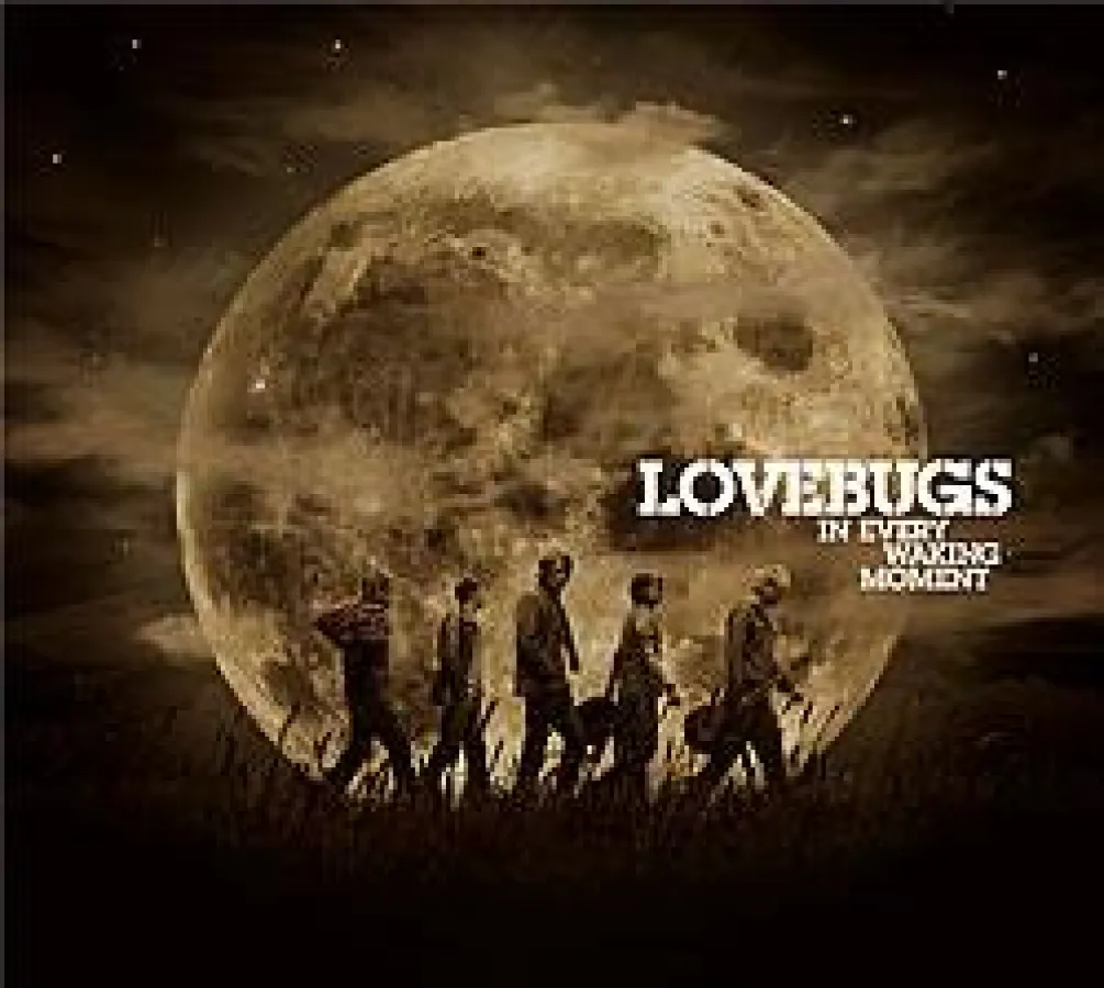 Lovebugs erobern Deutschland!