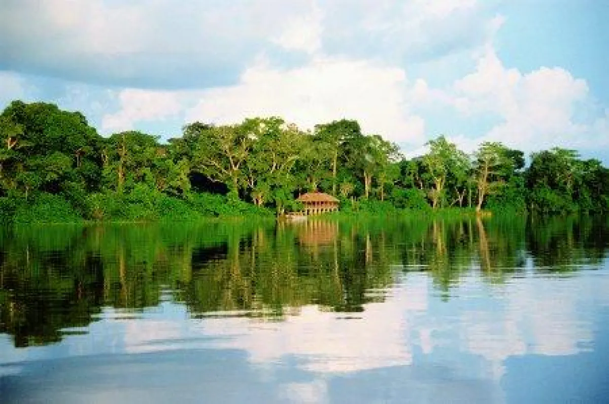 Regenwald und Fluss in Kamerun, Afrika