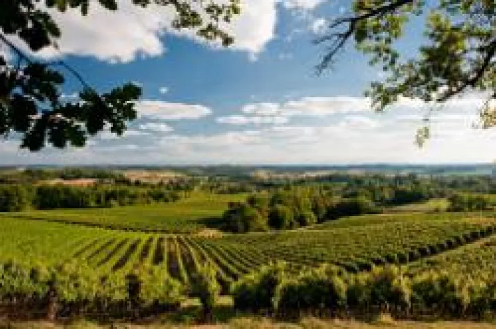 Frankreichs Südwesten: Weinregion für Entdecker Bild: Frankreichs Südwesten: Weinregion für Entdecker