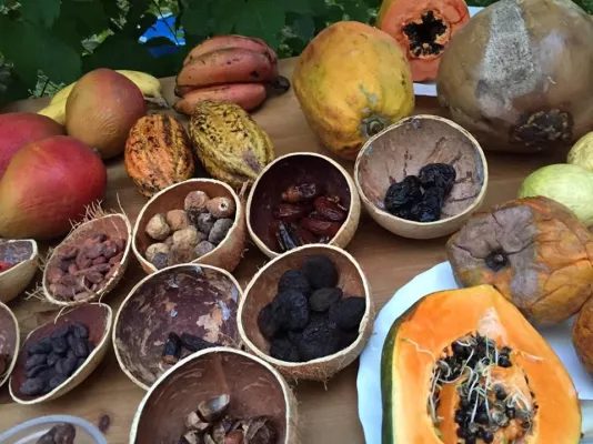 Bild: 20 Jahre SURYA Naturkosmetik und Heilpraxis