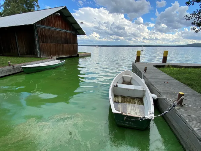 Bild: Neuer Leitfaden: Was tun, wenn es dem See schlecht geht? IGB Manual soll schnelle erste Orientierungshilfe bieten