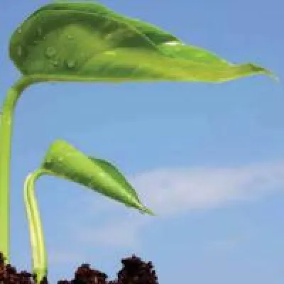 Bild: Nachhaltige Geldanlage in einem neuen Umweltdachfonds