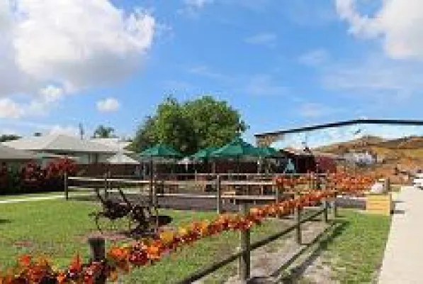 Bild: Vorwärts in die Vergangenheit