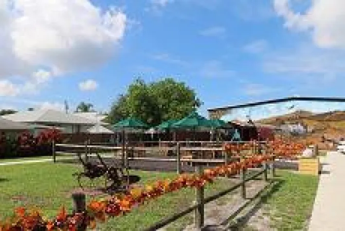 Bild: Vorwärts in die Vergangenheit