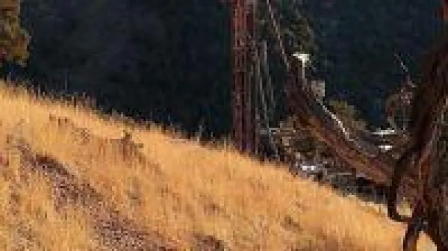 Bild: Gold weiterhin attraktiv