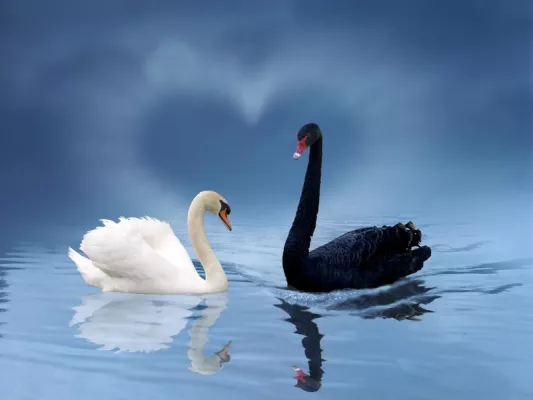 Bild: „Studentenfutter“: Jetzt kann sich jeder eine exklusive und individuelle NLP Ausbildung leisten