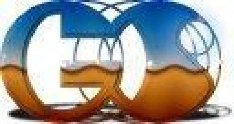 Bild: Workshopreihe gestartet und Verleihung des GAOS-Preis für beste Studienarbeit Mitteldeutschlands 2008