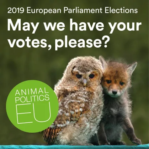 Bild: Verdreifachung der Tierrechtsbewegung im Europäischen Parlament