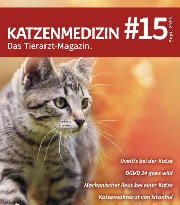 Bild: KATZENMEDIZIN - Fachmagazin für Tierärzt:innen