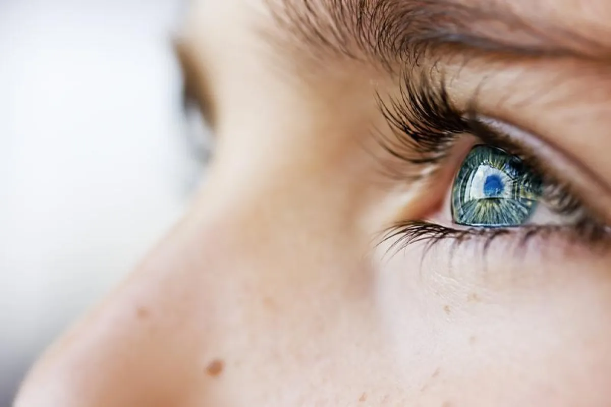 Das Auge (©vicu9 - stock.adobe.com)