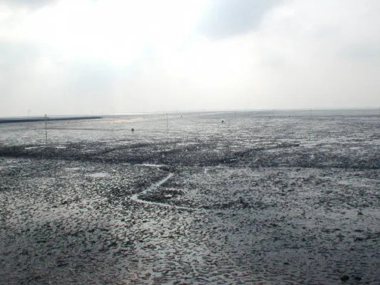 Bild: Sicher durchs Watt mit dem Wetter- und Gezeitenservice von Nordseehenswertes