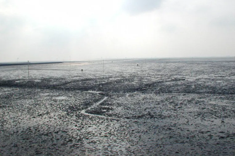 Bild: Sicher durchs Watt mit dem Wetter- und Gezeitenservice von Nordseehenswertes
