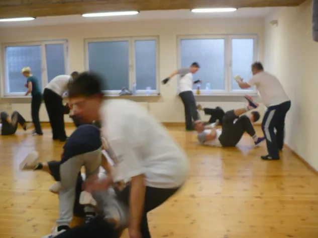 Hofheim: WingTsun-Schüler bestehen Prüfung beim Meister Bild: Hofheim: WingTsun-Schüler bestehen Prüfung beim Meister