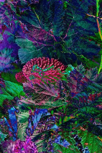Bild: Indoor-Gardening erreicht die Kunst
