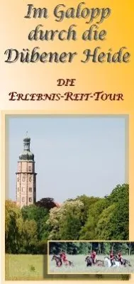 Bild: Im Galopp durch die Dübener Heide