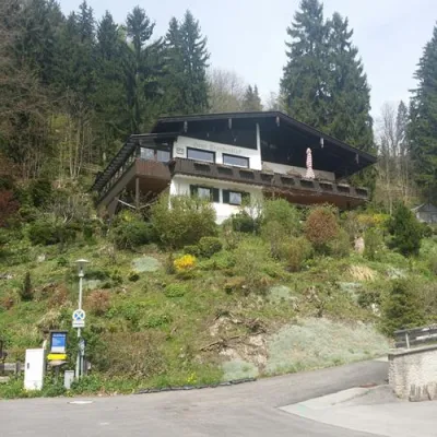 Bild: Anhalt Concept Bau verschenkt Pflanzen und Findlinge für einen guten Zweck