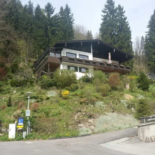 Anhalt Concept Bau verschenkt Pflanzen und Findlinge für einen guten Zweck Bild: Anhalt Concept Bau verschenkt Pflanzen und Findlinge für einen guten Zweck