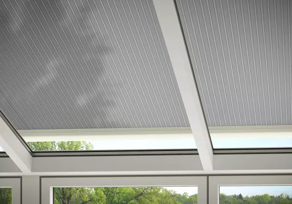 Multitalent für den Wintergarten Bild: Multitalent für den Wintergarten