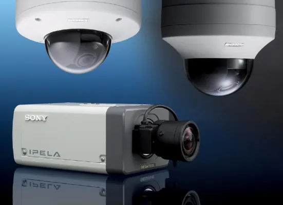 Bild: Den Blick geschärft