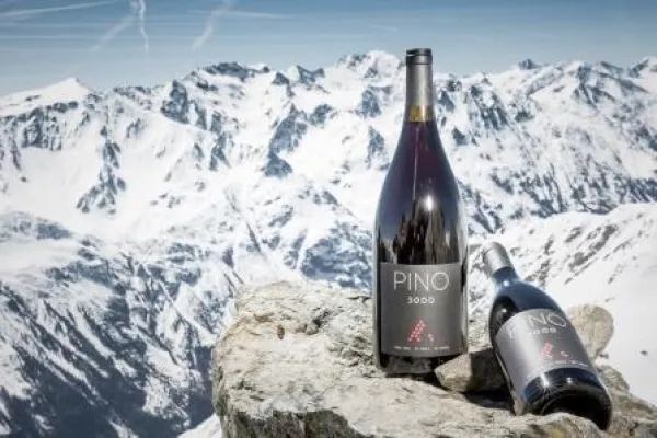 Bild: Fahrtwind im Cabrio und Wein am Gipfel auf 3.048m Seehöhe Auf den Spuren des PINO3000 im Das Central in Sölden