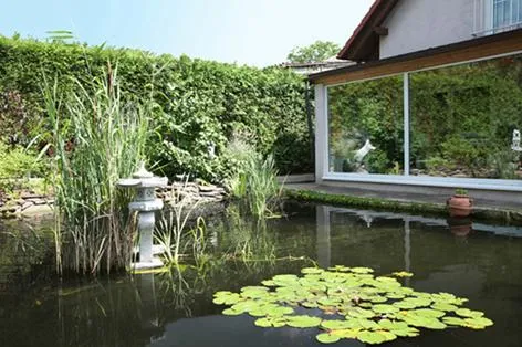 Bild: Im Trend: Teiche - Wenn der Garten zum Paradies wird . . .