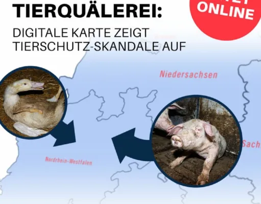Bild: Neue Datenbank der Tierquälerei zeigt: Vor allem Brandenburg ist betroffen - 26 Skandale in den letzten Jahren