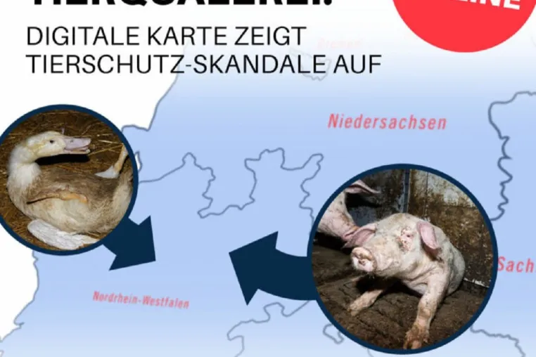 Bild: Neue Datenbank der Tierquälerei zeigt: Vor allem Brandenburg ist betroffen - 26 Skandale in den letzten Jahren