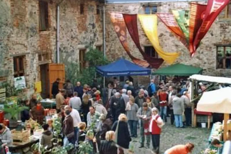 Bild: Bunter Mitsommer-Jahrmarkt auf Burg Klempenow