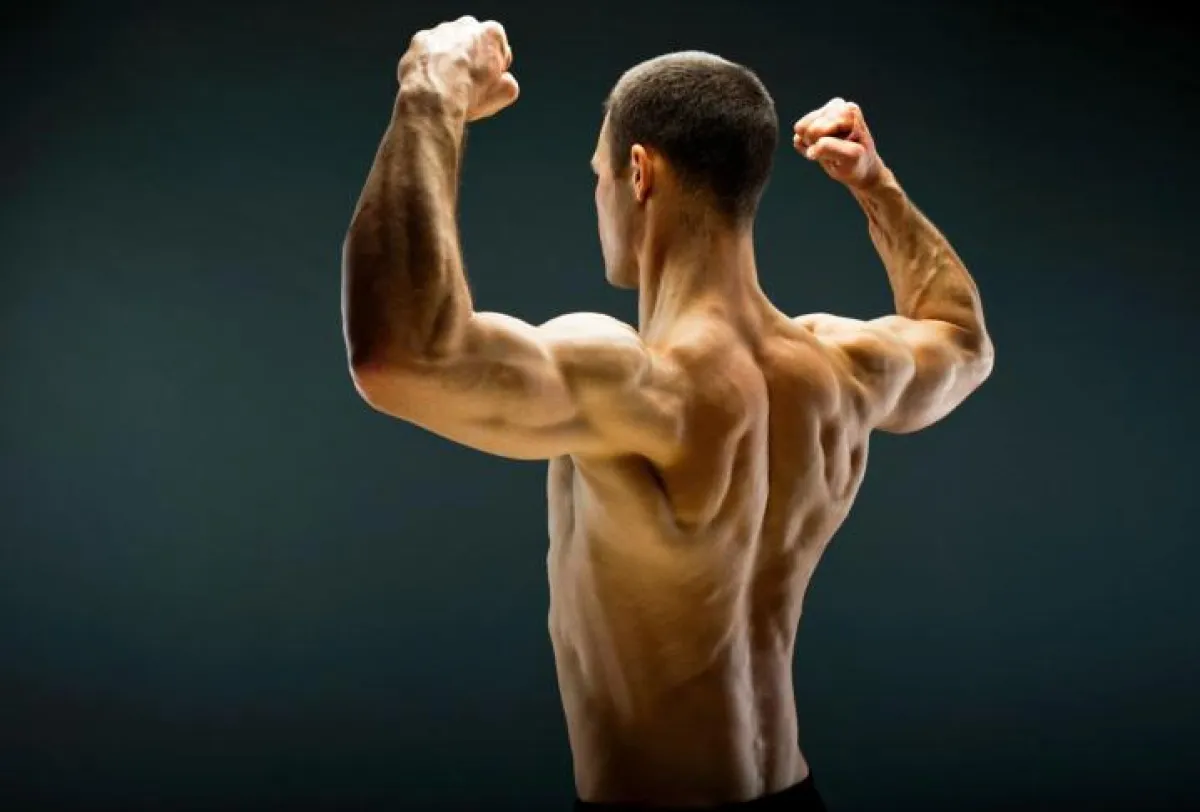 Erst die Grifftkraft vollendet den Sportler