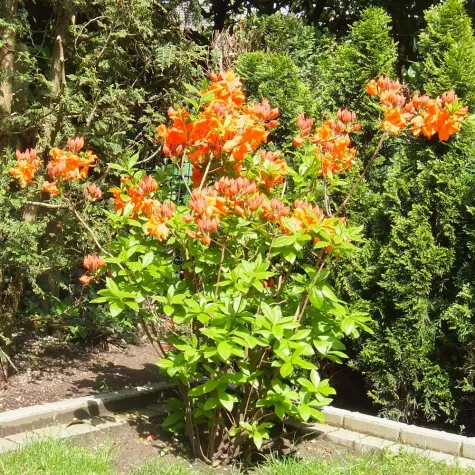 Kirchenstreik Maria 2.0 für Frauenrechte Bild: Kirchenstreik Maria 2.0 für Frauenrechte