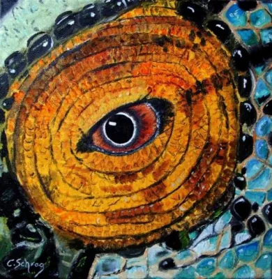 Das Auge des Chamäleons Bild: Das Auge des Chamäleons