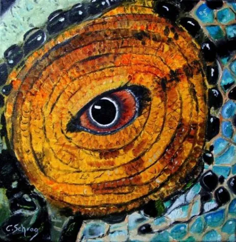 Bild: Das Auge des Chamäleons