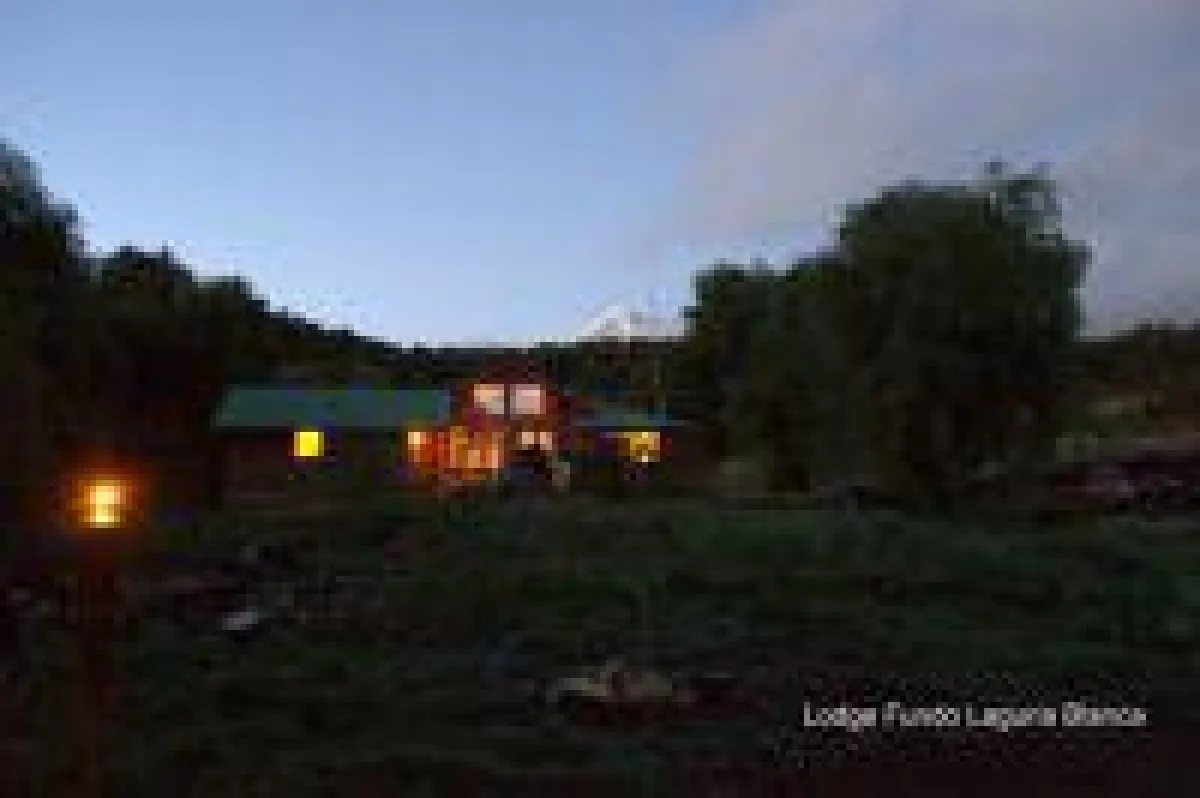 Fundo Laguna Blanca, Farm & Friends