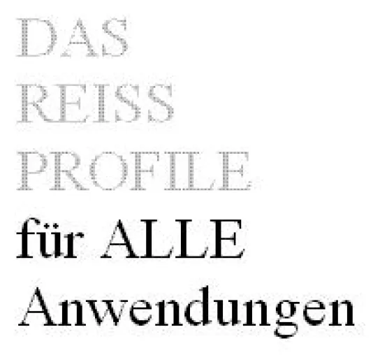 Bild: Das Reiss Profile als universelles Persönlichkeitsmodell für viele Anwendungsbereiche