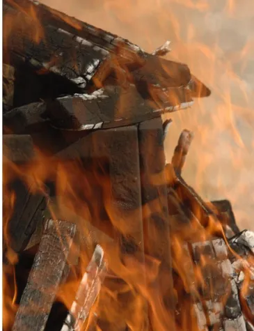 Bild: Threx - Datensafe besteht erweiterten Bandtest mit Links