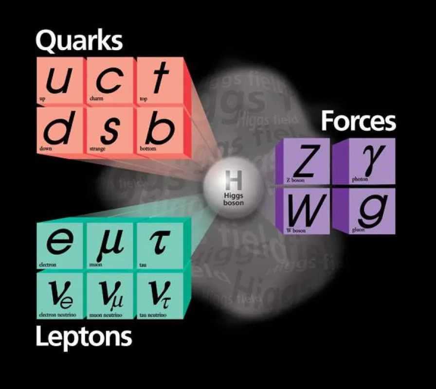 Gefunden: Das Higgs Boson