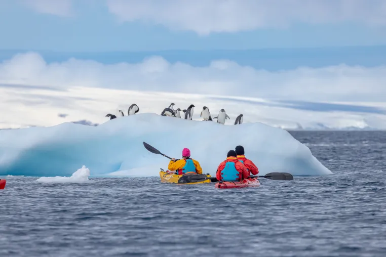 Expeditions-Kreuzfahrt: Mit Swan Hellenic per Kajak durch das Eis Bild: Expeditions-Kreuzfahrt: Mit Swan Hellenic per Kajak durch das Eis